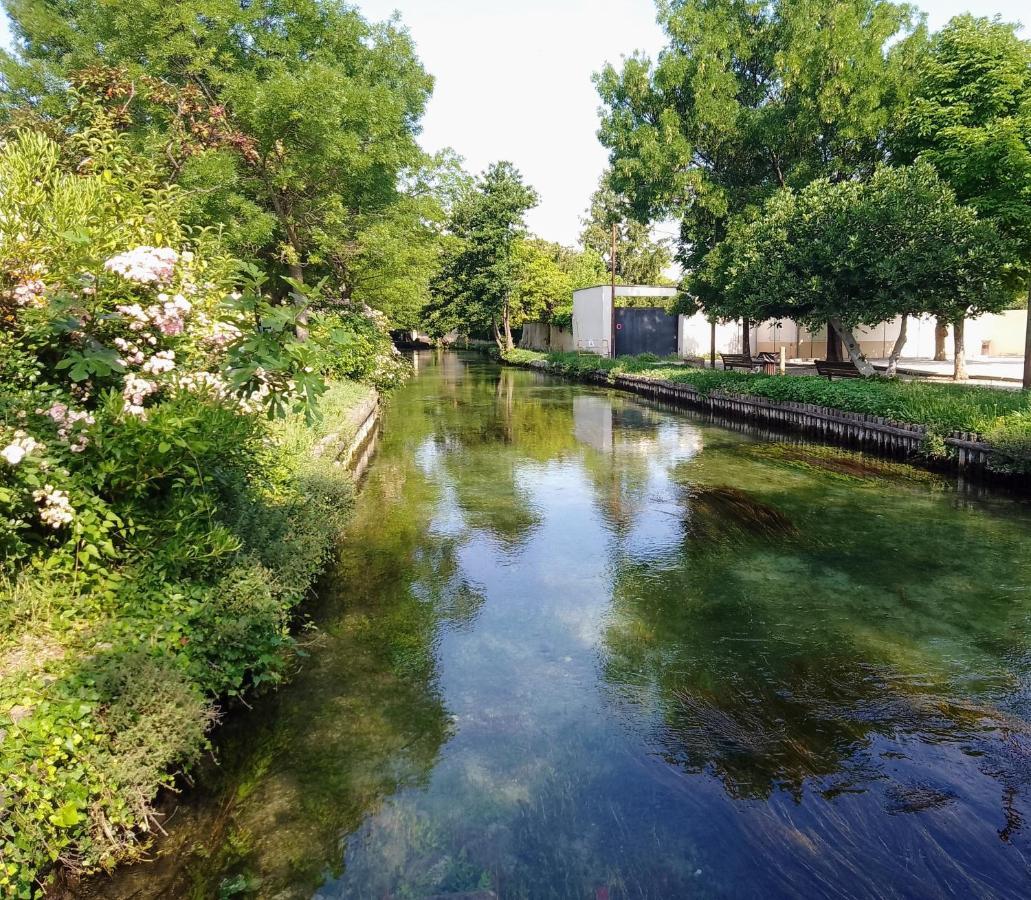 Casa Mia, Chambre Privee En Provence LʼIsle-sur-la-Sorgue Exterior foto